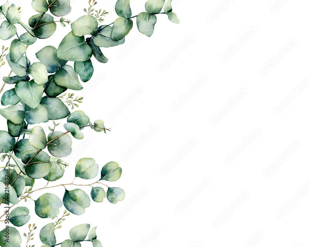 Obraz Akwarele karta z bukietem eukaliptusa. Ręcznie malowane gałęzie eukaliptusa i liście na białym tle. Kwiatowa ilustracja do projektowania, drukowania, tkaniny lub tła.