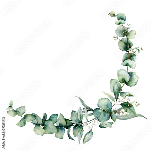 Watercolor eucalyptus border. Hand painted eucalyptus branch and leaves isolated on white background. Floral illustration for design, print, fabric or background. photo