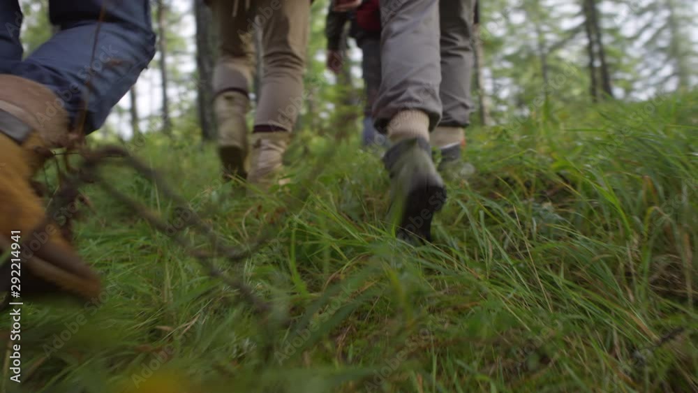 Following rear view shot of legs of unrecognizable hikers walking on green wet grass through forest Following rear view shot of legs of unrecognizable hikers walking on green wet grass through forest