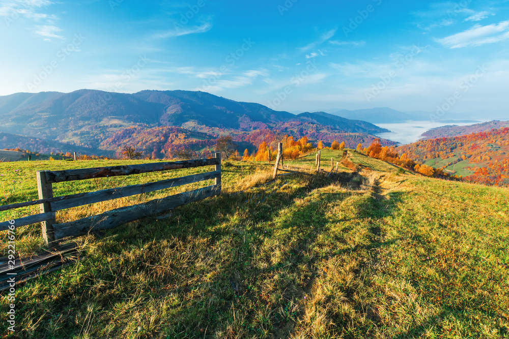 rural area in mountain at sunrise. wonderful golden autumn weather with high clouds on the blue sky. wooden fence along the path through grassy meadow in to the distant valley full of morning fog. nat