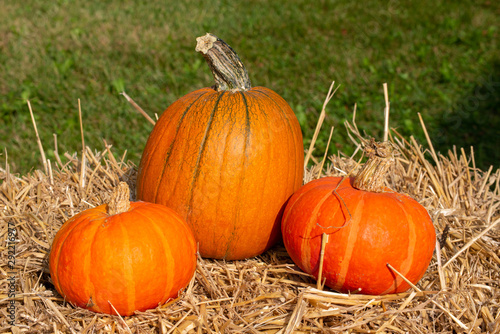 trio of pumpkins on straw bale  autumn