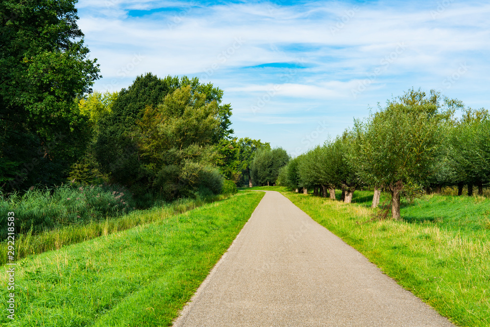 Hiking path and willows in national park De Biesbosch. Merwelanden in Dordrecht. The Netherlands