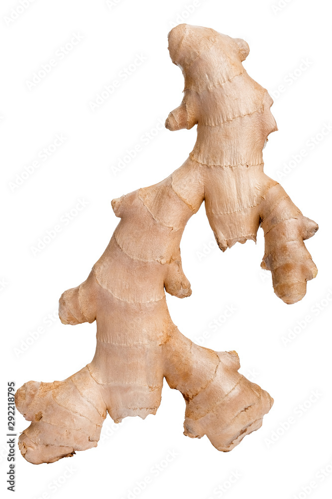 Raw ginger root isolated on white background. Raw ginger root isolated on white background.