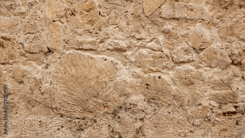 Detail of the outer wall of the Cathedral of Cartagena, built with corals and stones