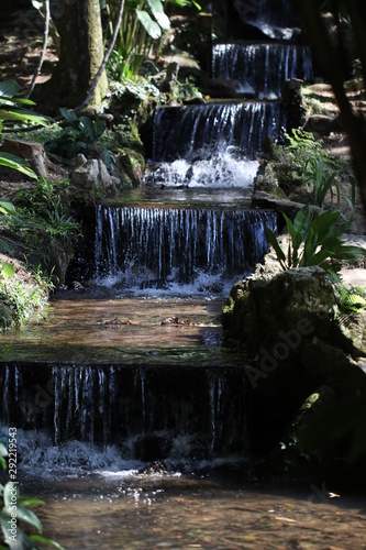 Waterfall in garden