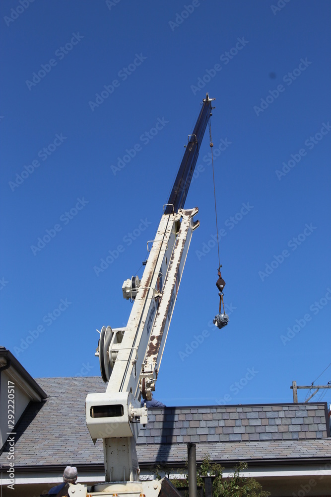 Obraz premium Crane