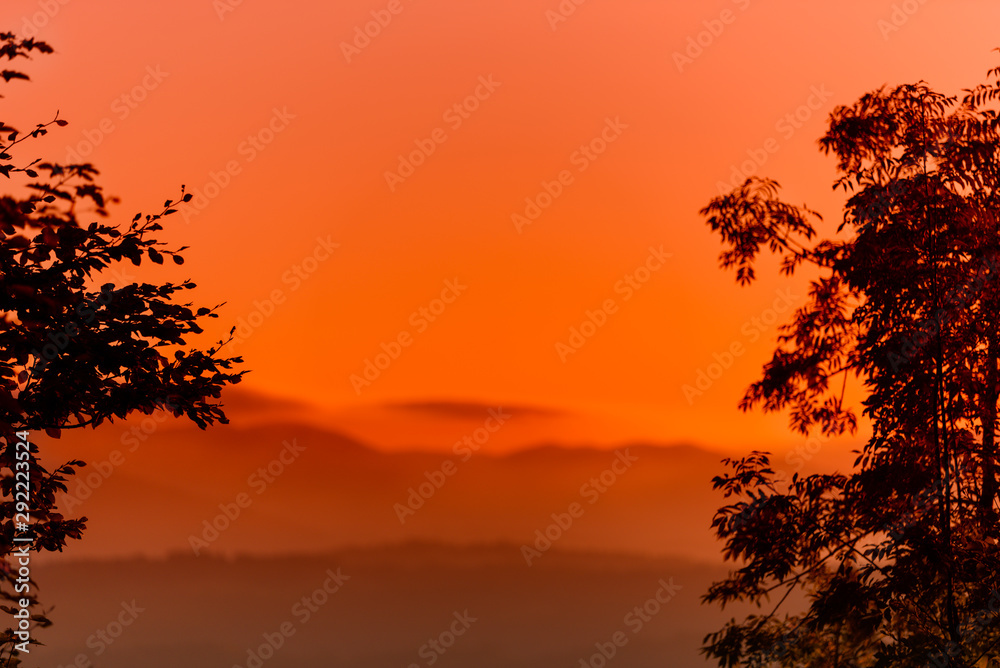 Low angle shot impressive sunset and two trees silhouettes with dramatic red fiery sky