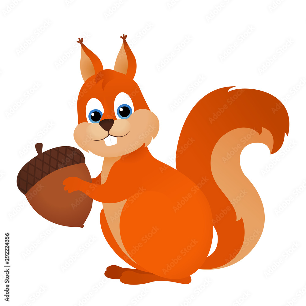 Cartoon squirrel with nut vector isolated on white Cartoon squirrel with nut vector isolated on white