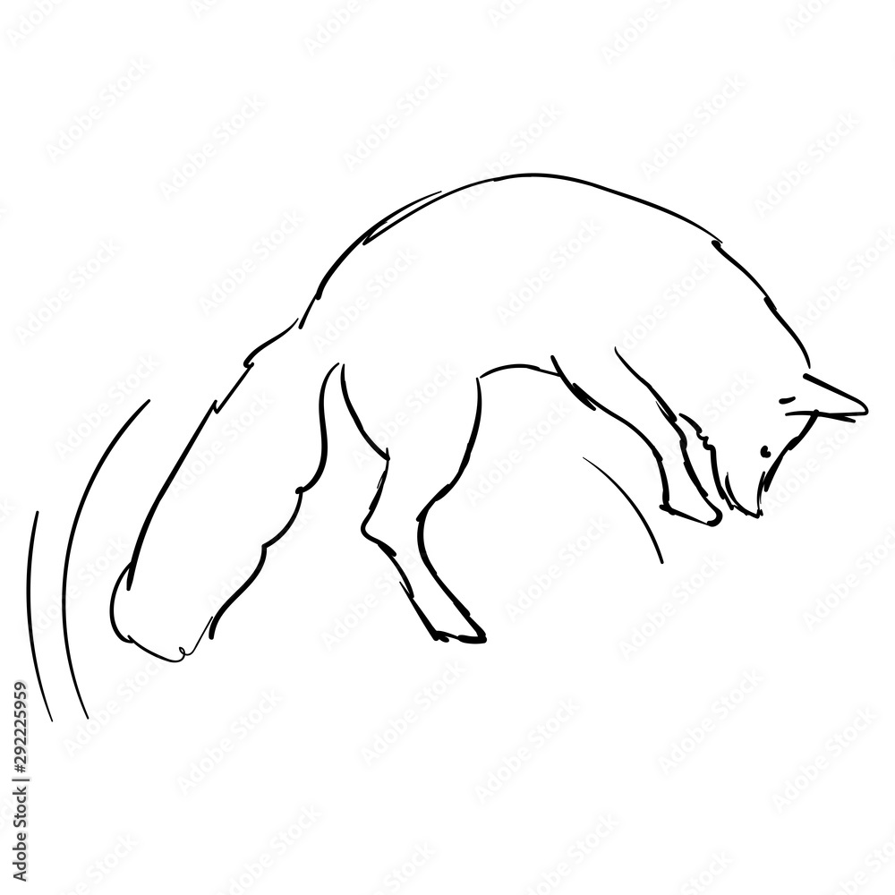 Fox line art hand drawing. Doodle style on white background. Fox line art hand drawing. Doodle style on white background.