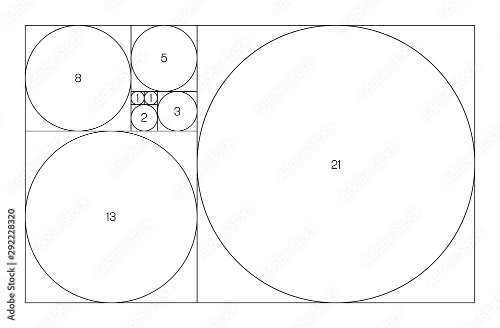 Fibonacci sequence of circles. Golden ratio geometric concept. Vector  illustration Stock-Vektorgrafik | Adobe Stock