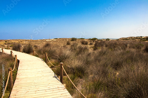 sand dunes in the desert