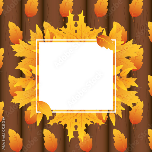 autumn leafs foliage square frame