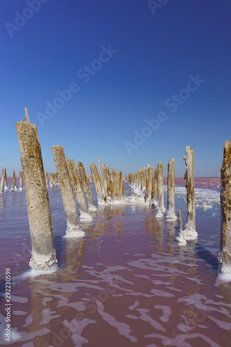 View of the wreckage of a wooden dam destroyed on the pink lake Sasyk-Sivash in the West of the Crimean Peninsula. Textured wood is covered with salt crystals