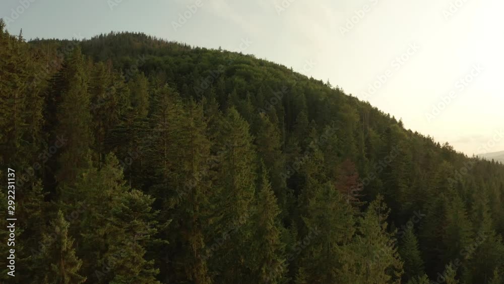 Flight of a drone over a beautiful mountain landscape at golden time, sunset. Aerial view of a forest in the mountains at sunset, golden hour tourism concept. Flight of a drone over a beautiful mountain landscape at golden time, sunset. Aerial view of a forest in the mountains at sunset, golden hour tourism concept.