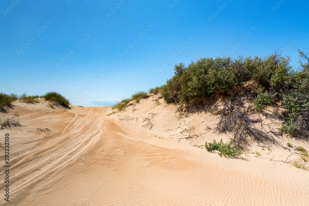 Semi-desert landscape with tire traces on sand
