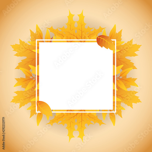 autumn leafs foliage square frame