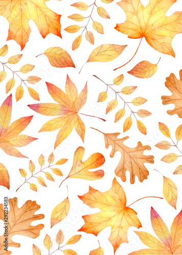 Forest flora, autumn leafage seamless watercolor raster pattern