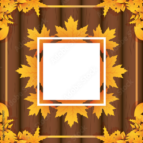 autumn leafs foliage square frame