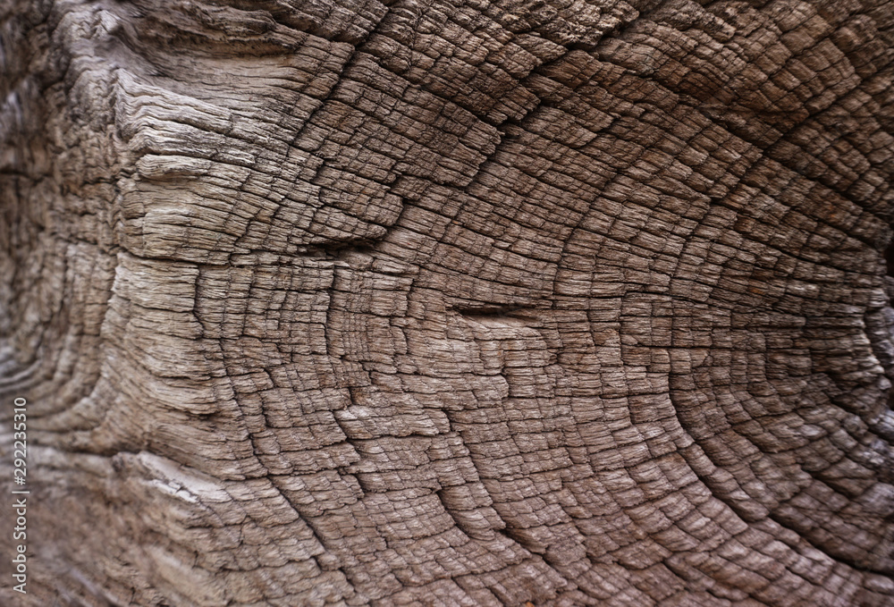 Fototapeta premium Grunge wooden background