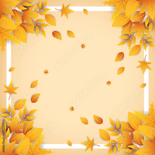 autumn leafs foliage decorative frame