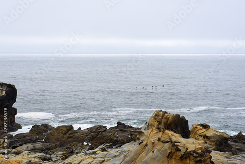 sea and rocks © Jess LeClerc