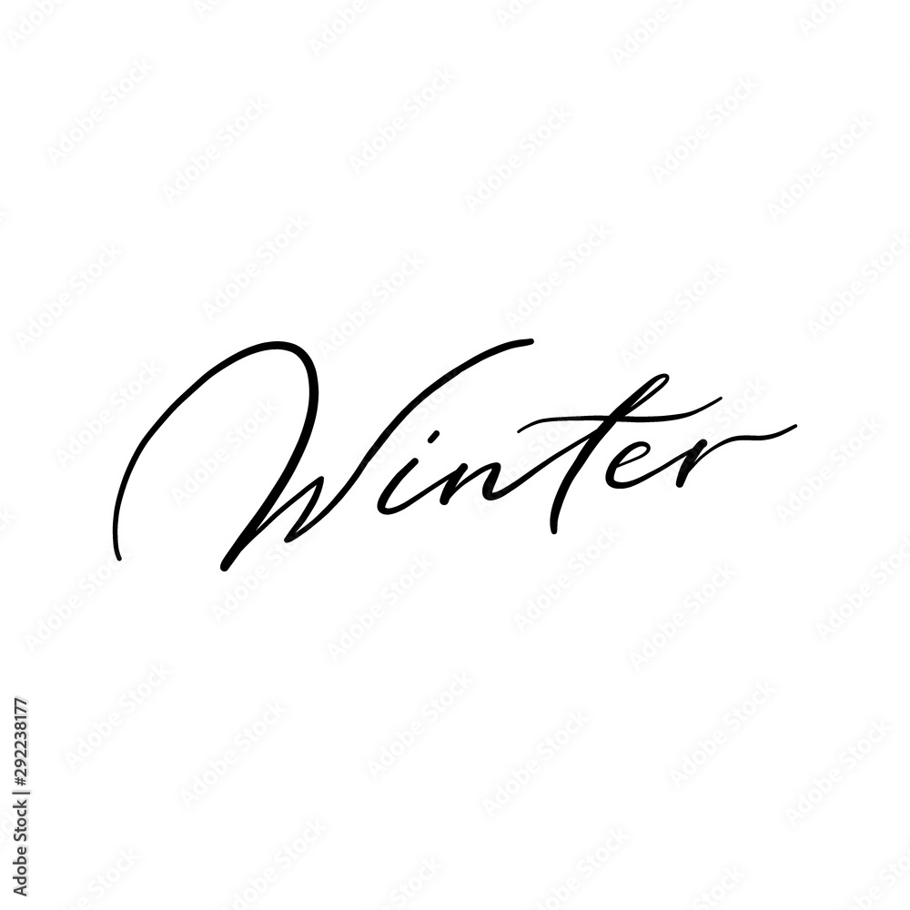 Quote Winter. Modern hand drawn brush lettering. Vector illustration, black on white background