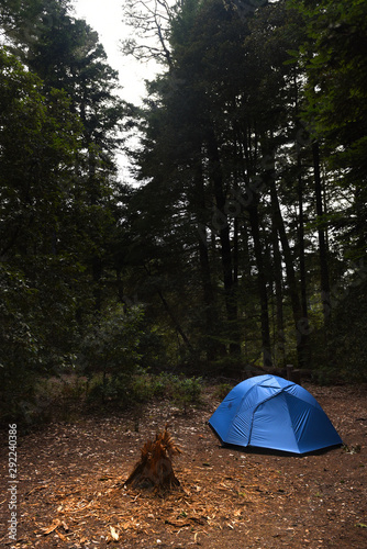 tent in woods