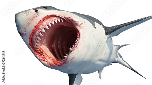 White shark marine predator with big open mouth and teeth. 3D rendering