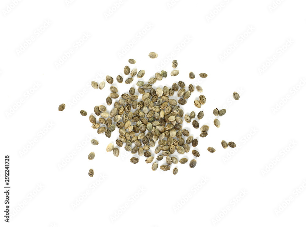 Hemp seeds on white background. Super food hemp seed. Hemp seeds on white background. Super food hemp seed.