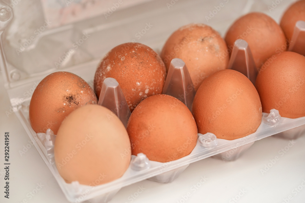 Mildew growing on rotten eggs stored in wet fridge for long time. Mouldy food gone bad Mildew growing on rotten eggs stored in wet fridge for long time. Mouldy food gone bad