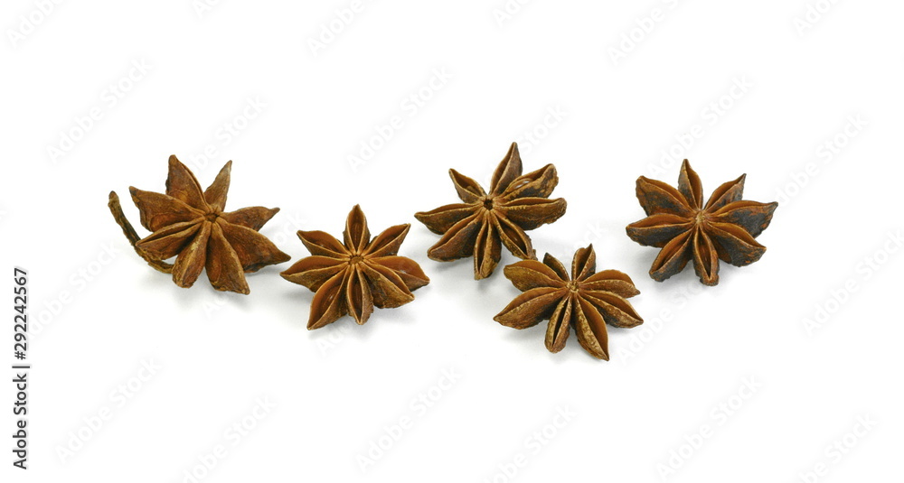 dry star anise fruits isolated on white. Star anise spice fruits and seeds isolated on white background closeup dry star anise fruits isolated on white. Star anise spice fruits and seeds isolated on white background closeup