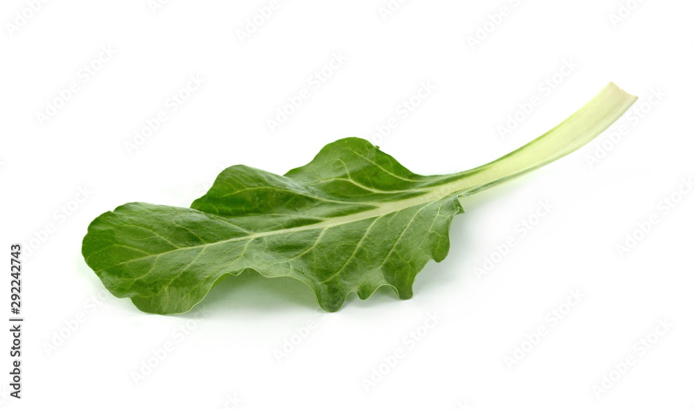 Fresh organic chard isolated on white. Chard (Beta vulgaris subsp. Vulgaris) isolated. Fresh organic chard isolated on white. Chard (Beta vulgaris subsp. Vulgaris) isolated.
