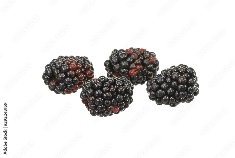 blackberry isolated on white background.
