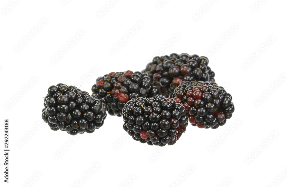 blackberry isolated on white background. blackberry isolated on white background.