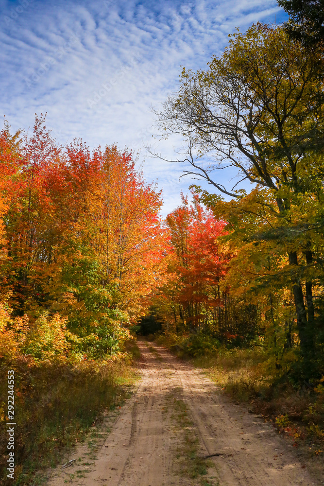 autumn in the park