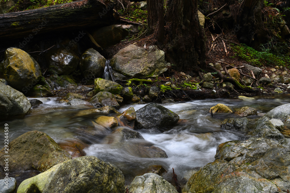 river in the redwoods