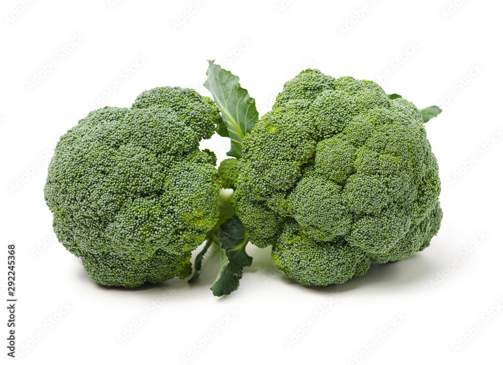 Broccoli vegetable on white background Broccoli vegetable on white background