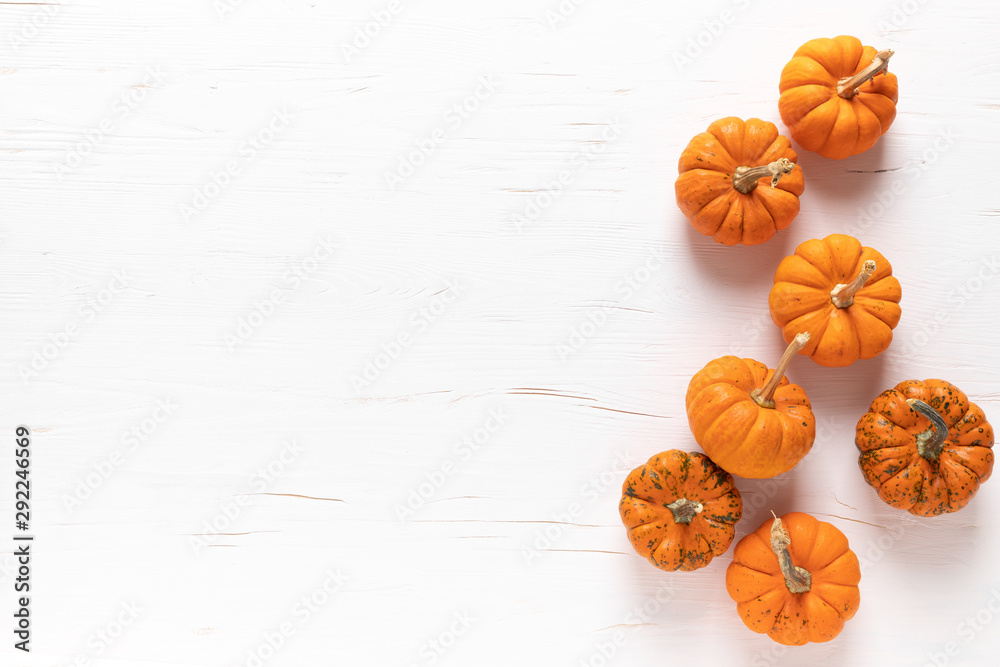 Small decorative pumpkins on white wooden background. Autumn, fall, thanksgiving or halloween day concept, flat lay, top view, copy space - obrazy, fototapety, plakaty 