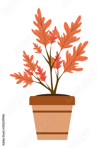autumn plant in ceramic pot seasonal icon