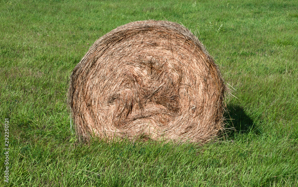 Haystack on the green field. Haystack on the green field.