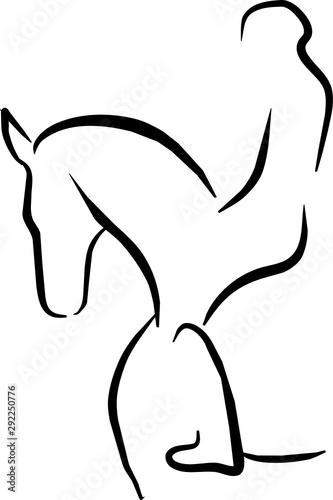 Dressage horse