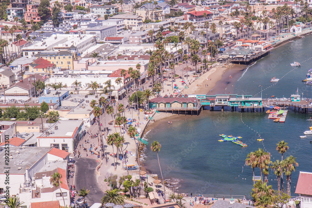 Obraz premium Catalina 74