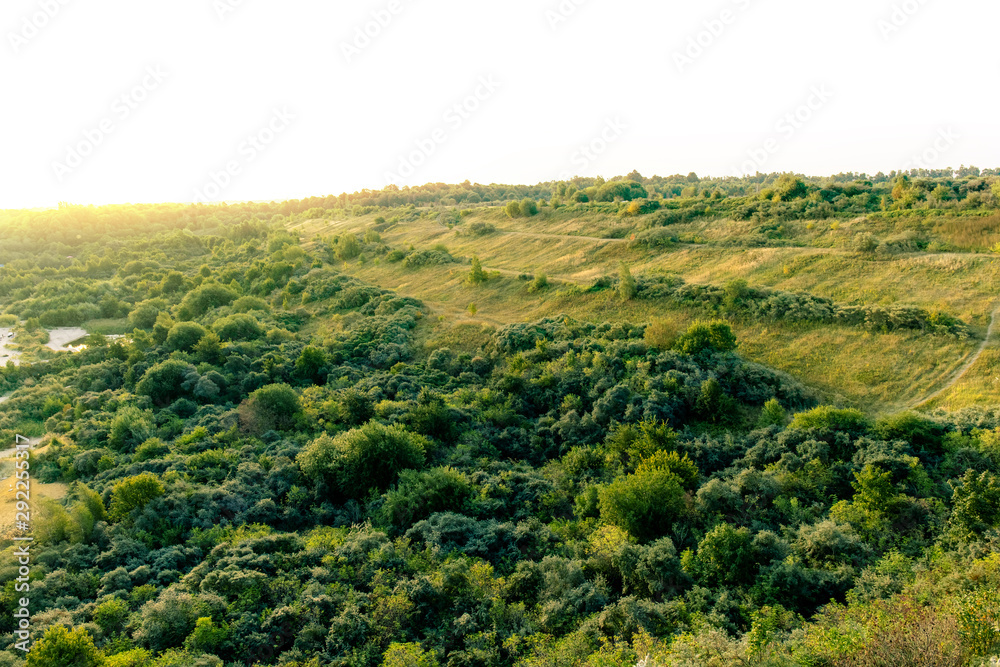 top view of a hillside with trees and shrubs in the orange rays of the rising sun