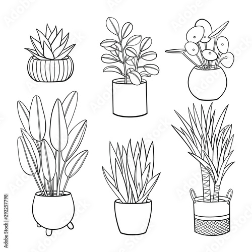 Set of different hand drawn houseplants in planters. Vector outline illustration drawings on a white background.