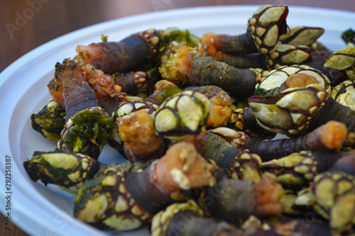 Dish of barnacles - typical food of Galicia in northern Spain