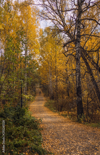 Autumn in the park © Михаил Баженов