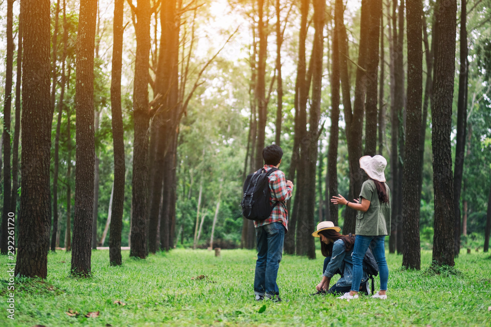 A group of travelers talking to each other while hiking in a beautiful pine woods A group of travelers talking to each other while hiking in a beautiful pine woods