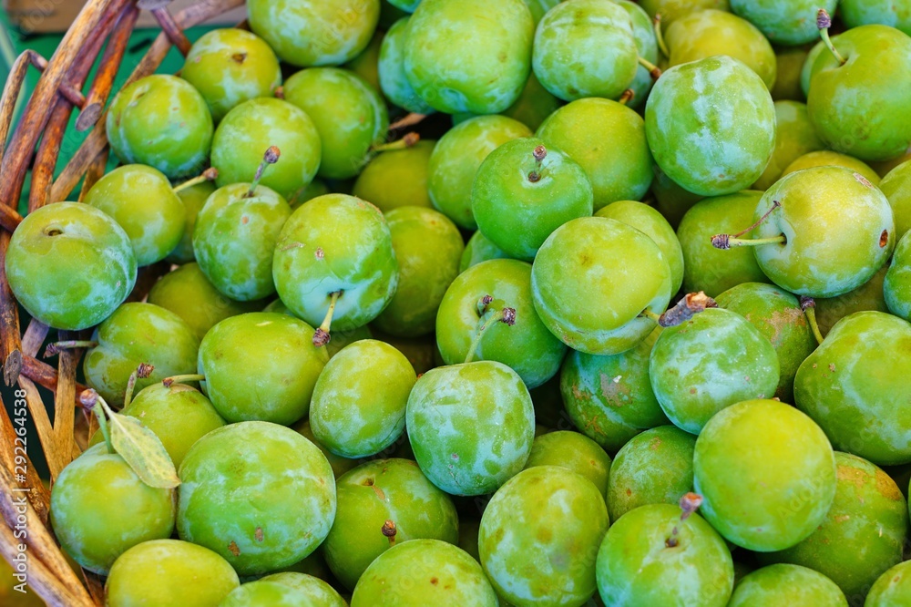 Basket of green gage plums (reine claude) at a farmers market Basket of green gage plums (reine claude) at a farmers market
