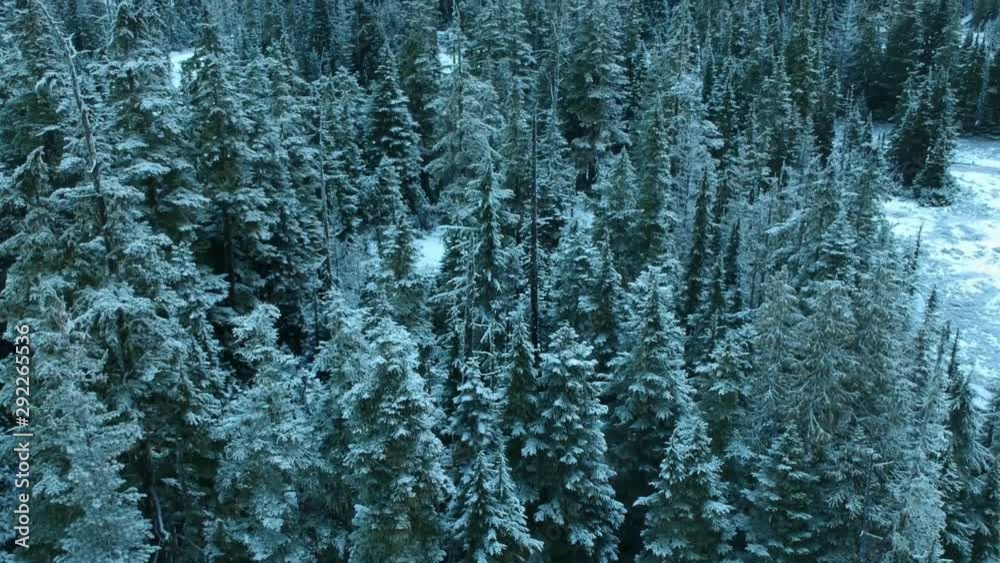 Slow Pan up of a snow covered Mountain in British Columbia. Slow Pan up of a snow covered Mountain in British Columbia.