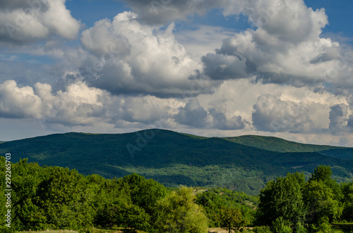 Green forest in the mountains. The sky is overcast.